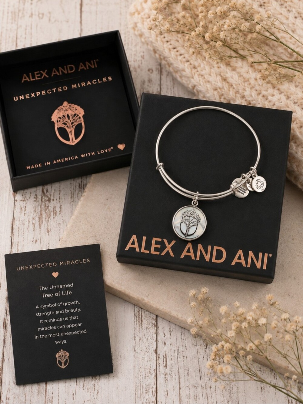 Alex and Ani Silver Unexpected Miracles